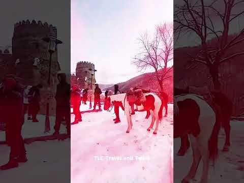 Georgia in Winter ❄️