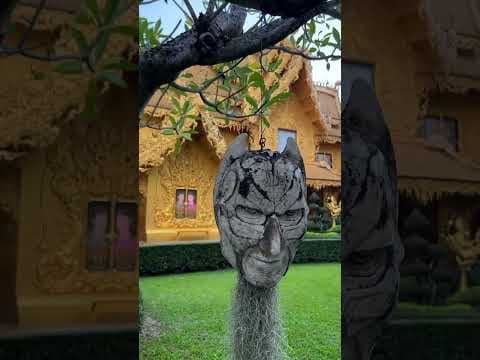 TLC Travel’s Highlights in 📍Chiang Mai, Thailand